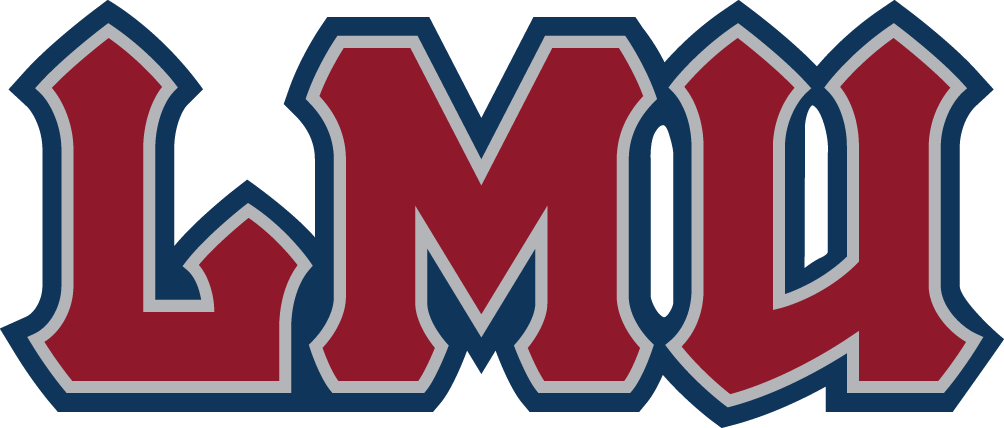 Loyola Marymount Lions 2008-2018 Wordmark Logo 01 iron on paper